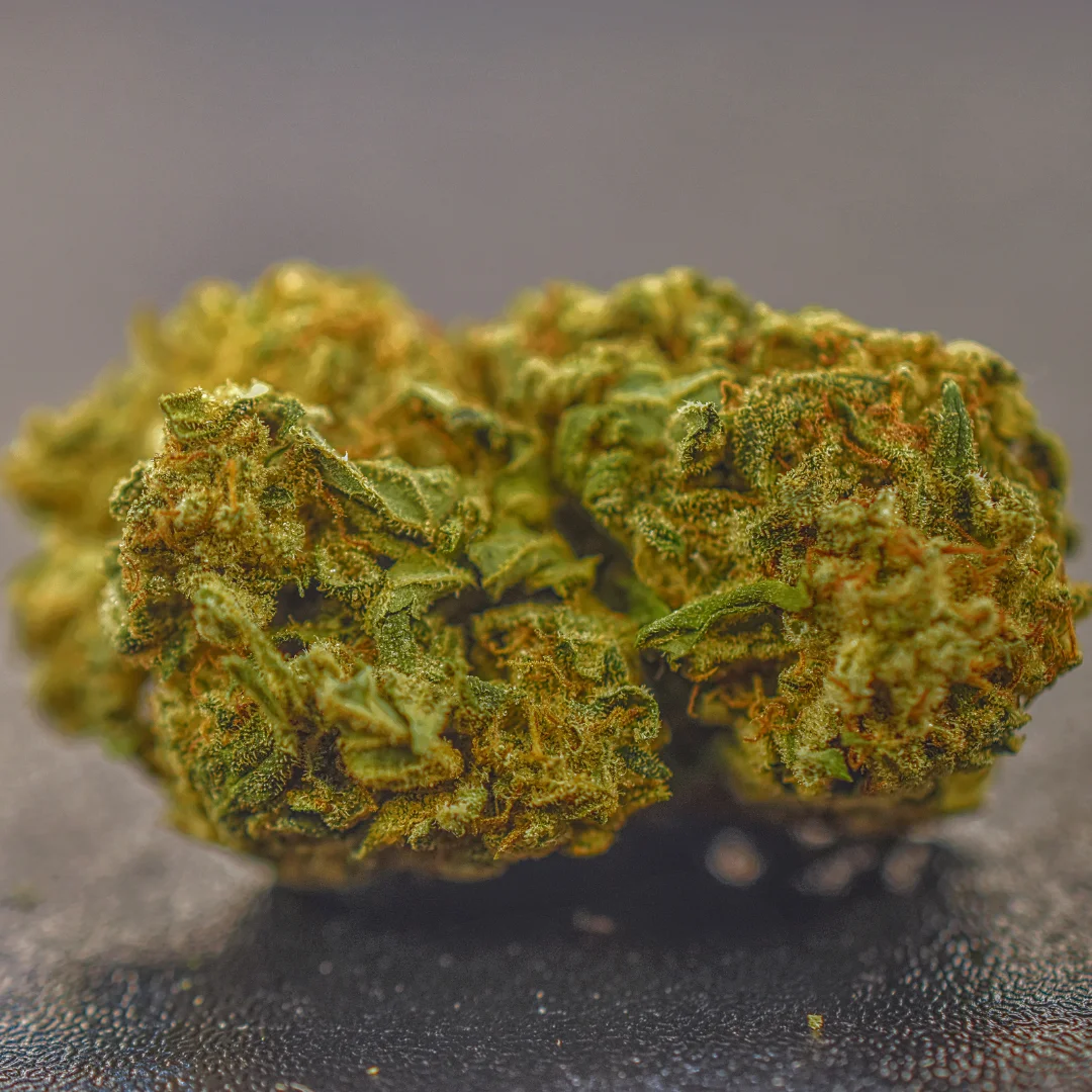 White Rhino - Flowers