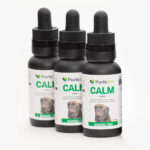 Pet CBD Tincture Infusion