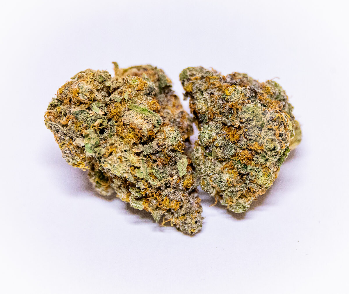 Jamaican Pearl