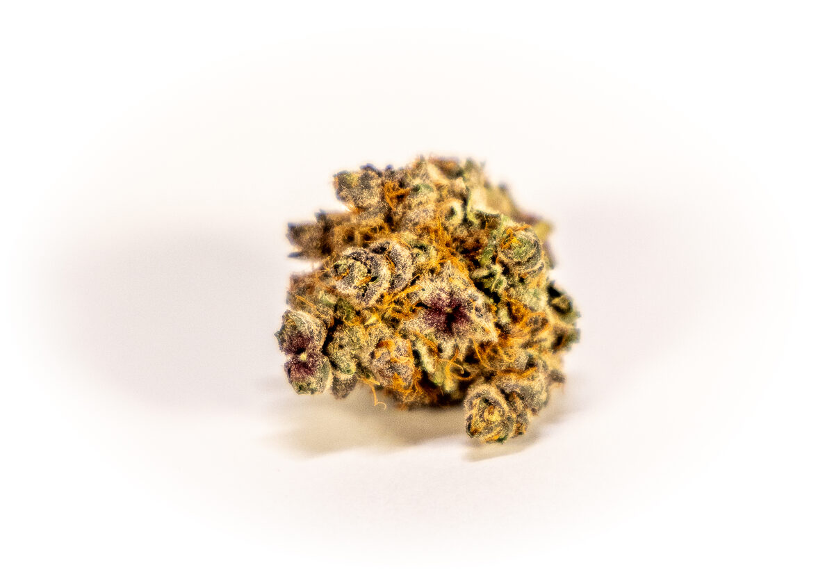 Lemon Cherry Gelato