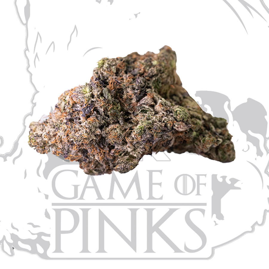 Targaryen Pink - Game of Pinks