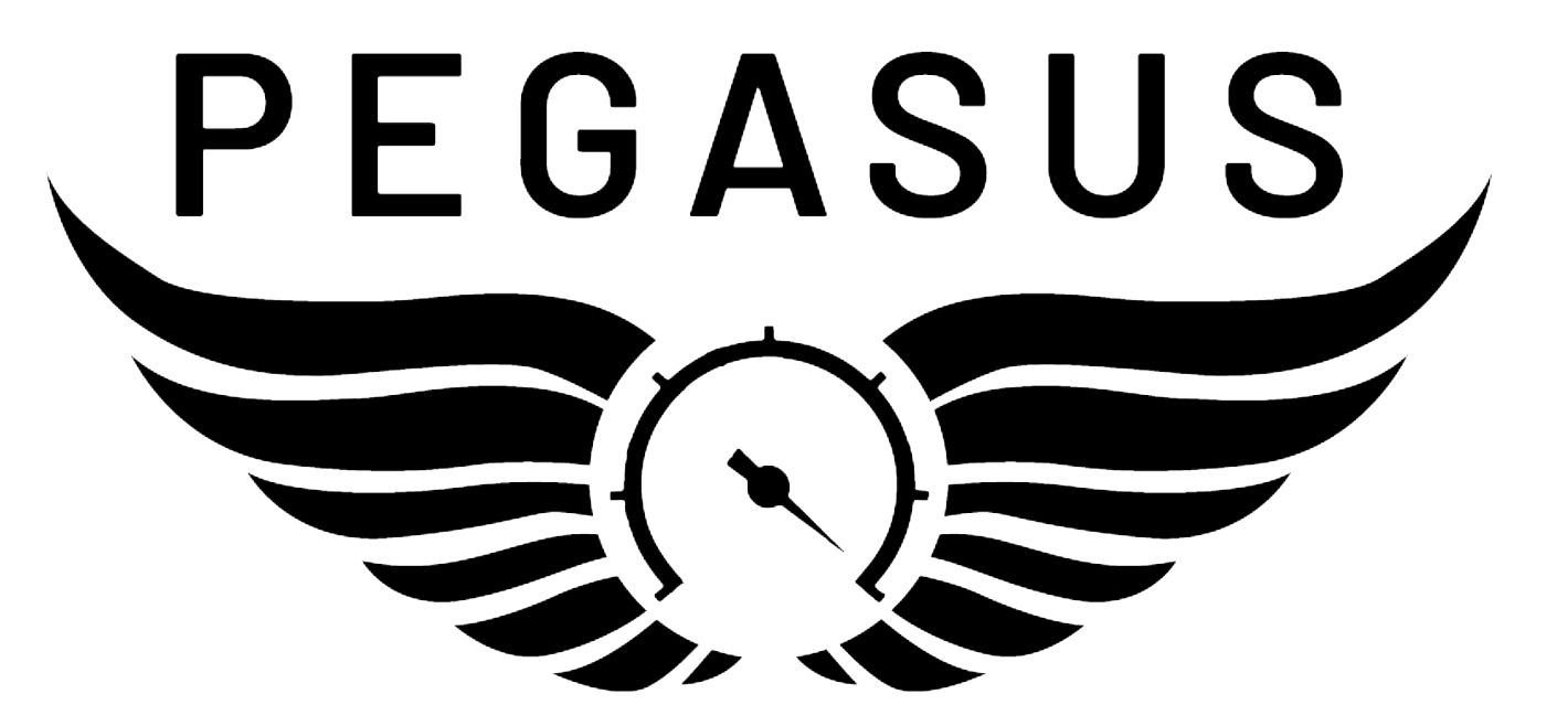 Pegasus