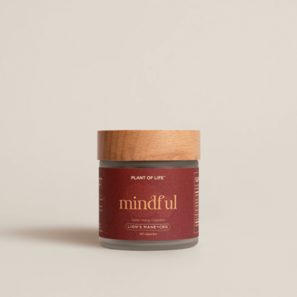 Lion's Mane with CBG (Mindful)
