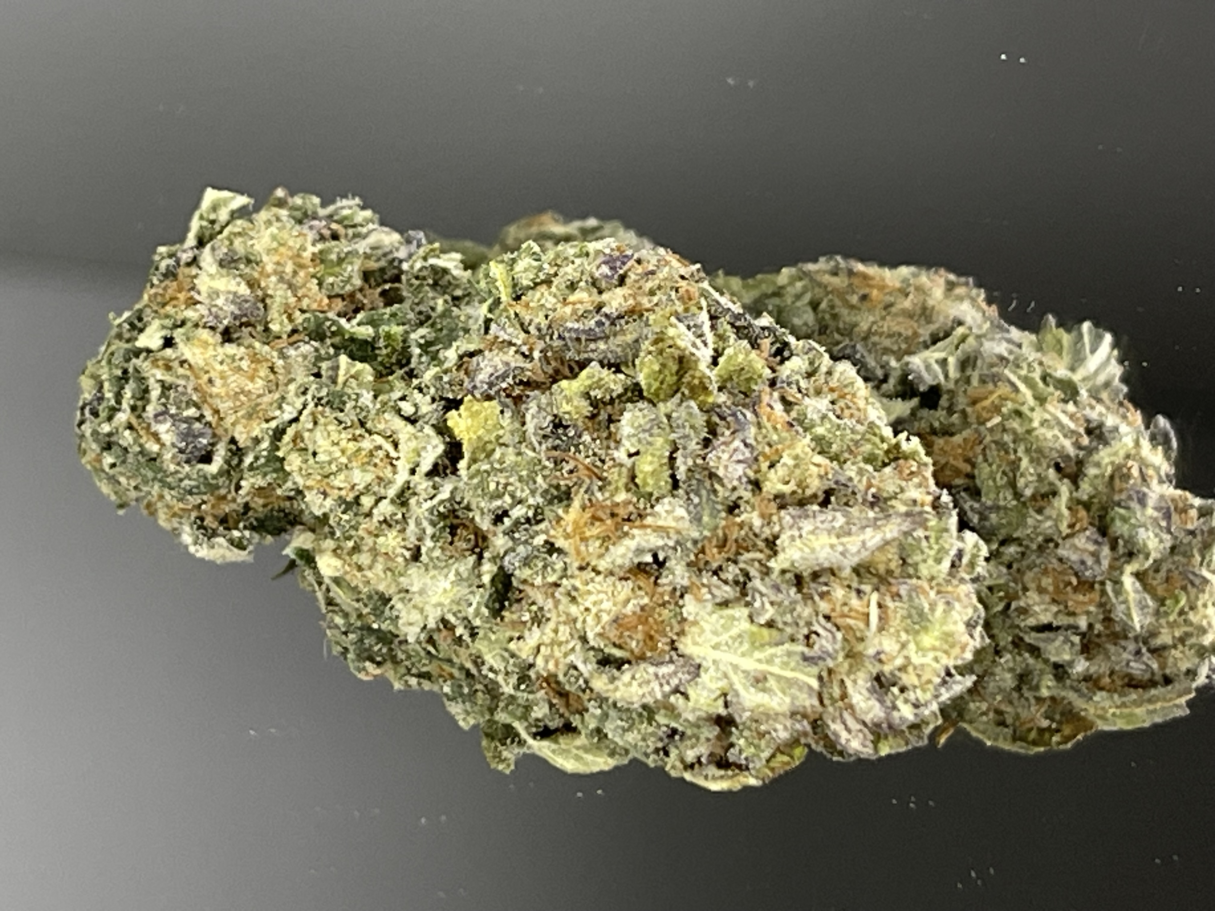 High on a Hill Dispensary "Where budz meet"...'s version