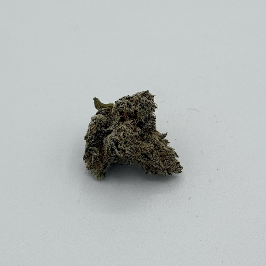 Canna Queens's version