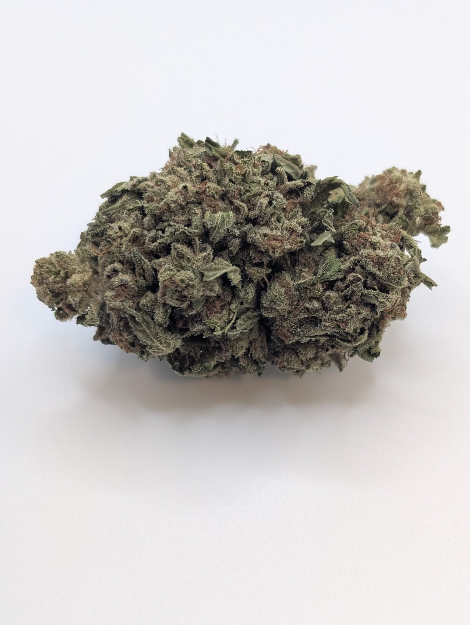 Reefer Kingz's version