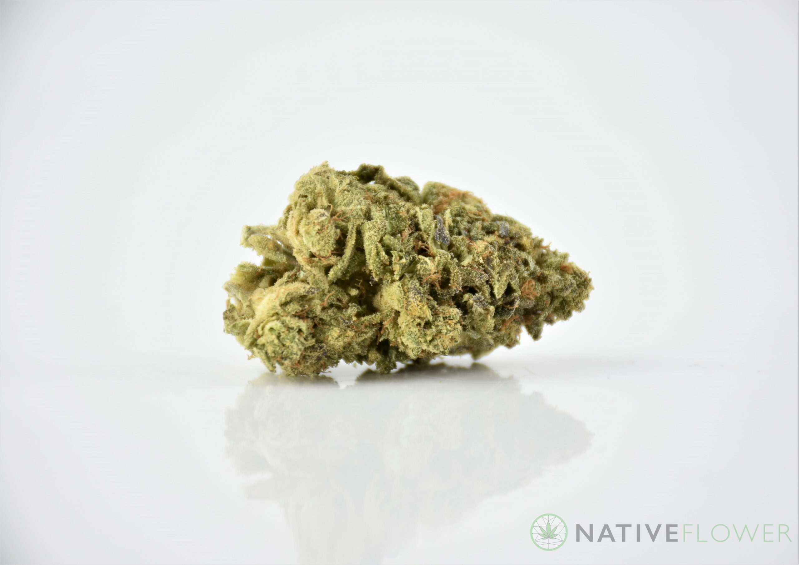 Native Flower's version