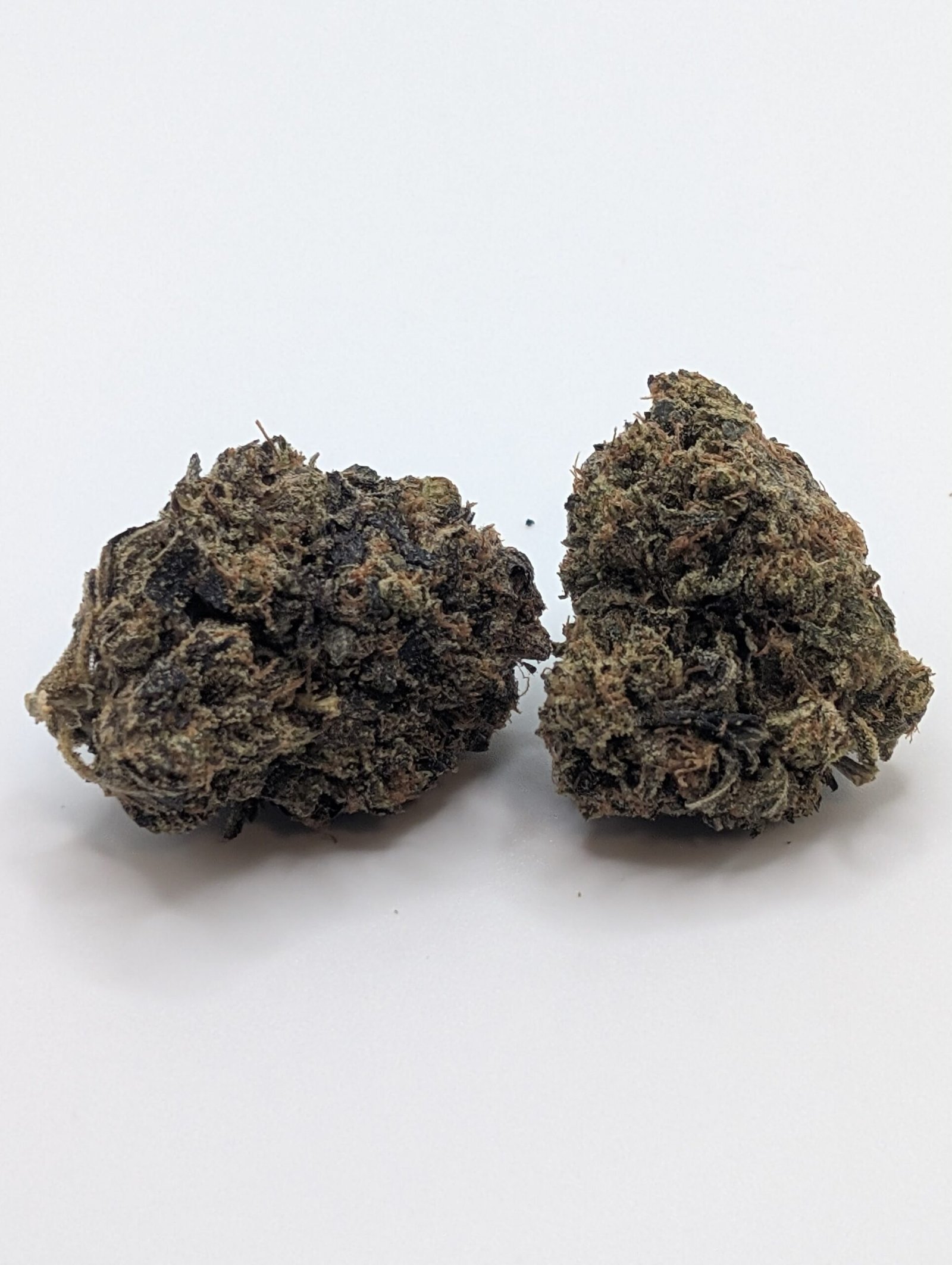 Reefer Kingz's version