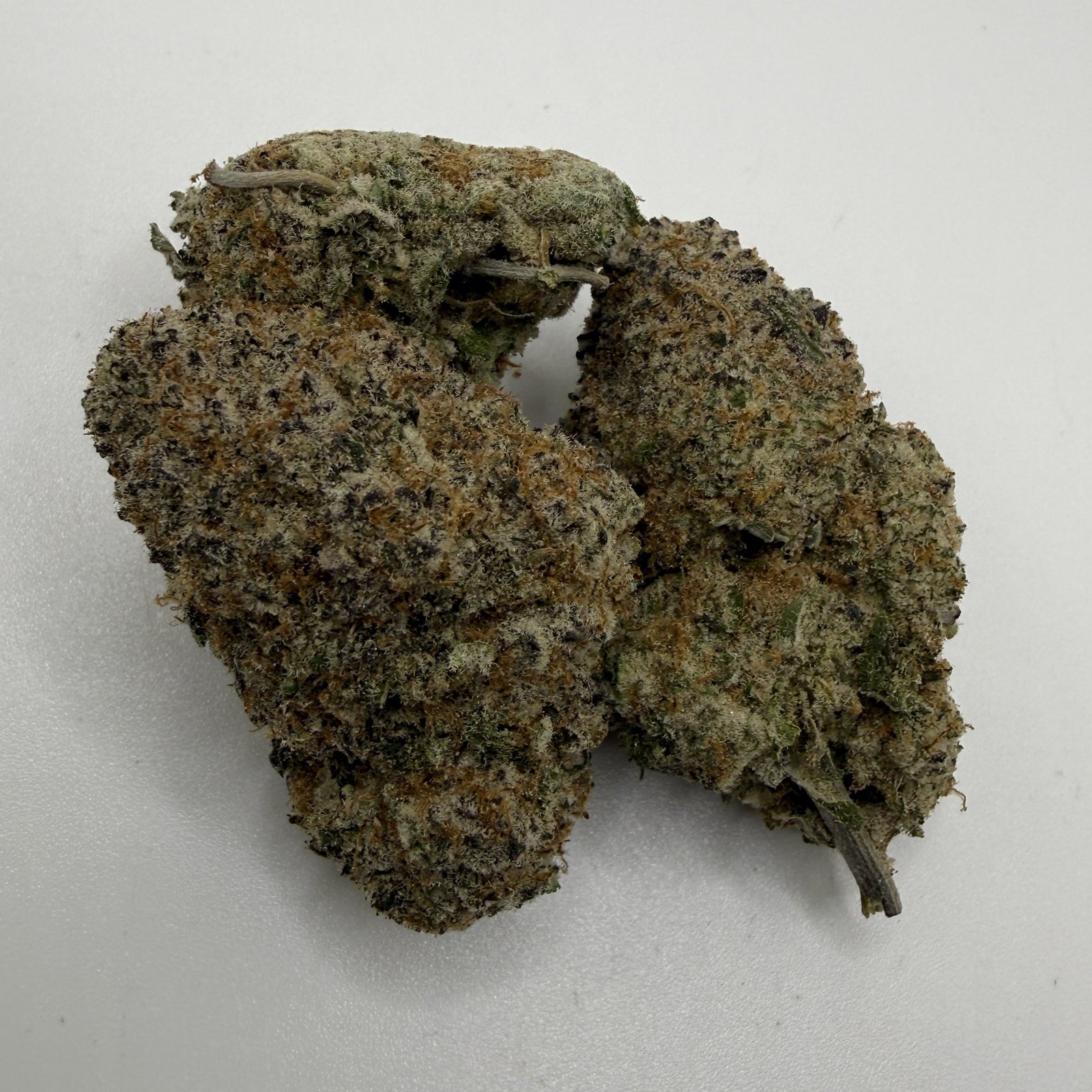 Reefer Kingz's version