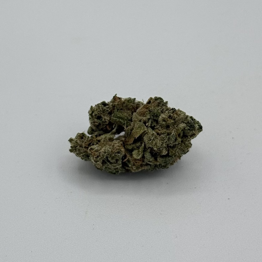 Canna Queens's version