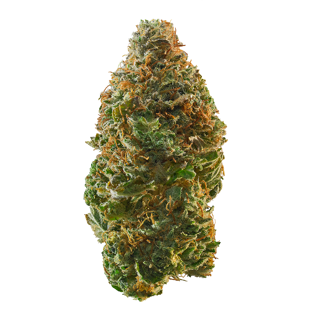 no STeMs's version