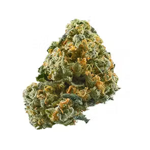 no STeMs's version