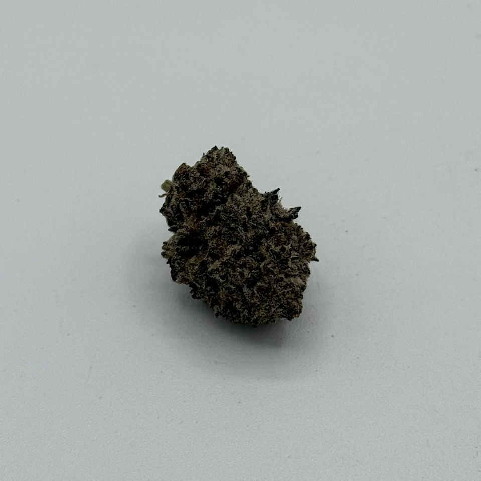 Canna Queens's version