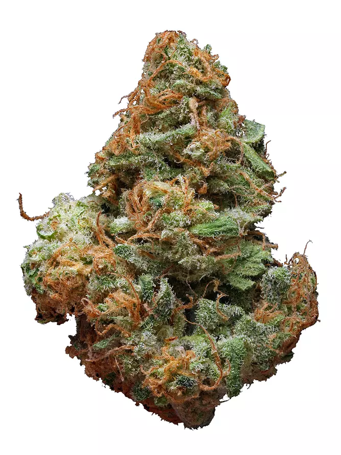 Totem Pole Dispensary's version