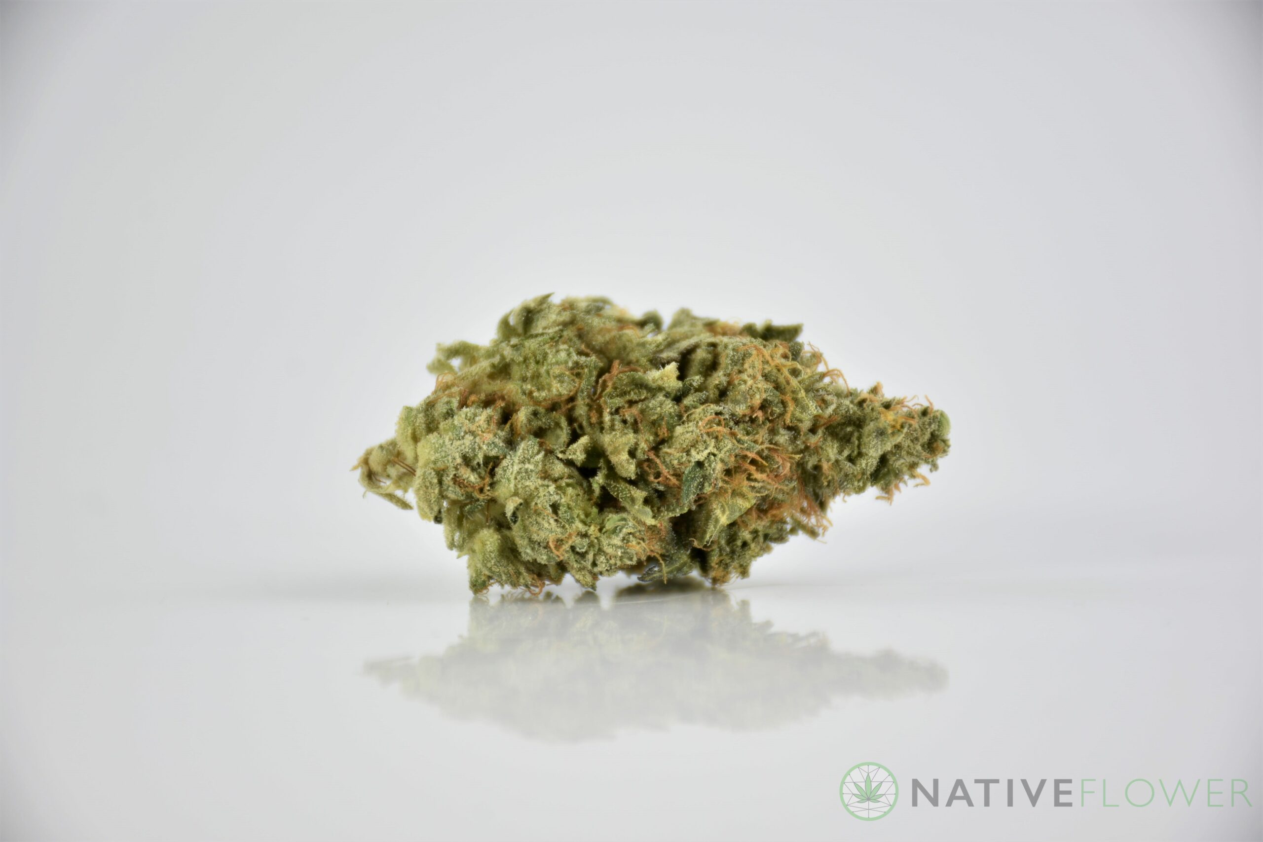 Native Flower's version