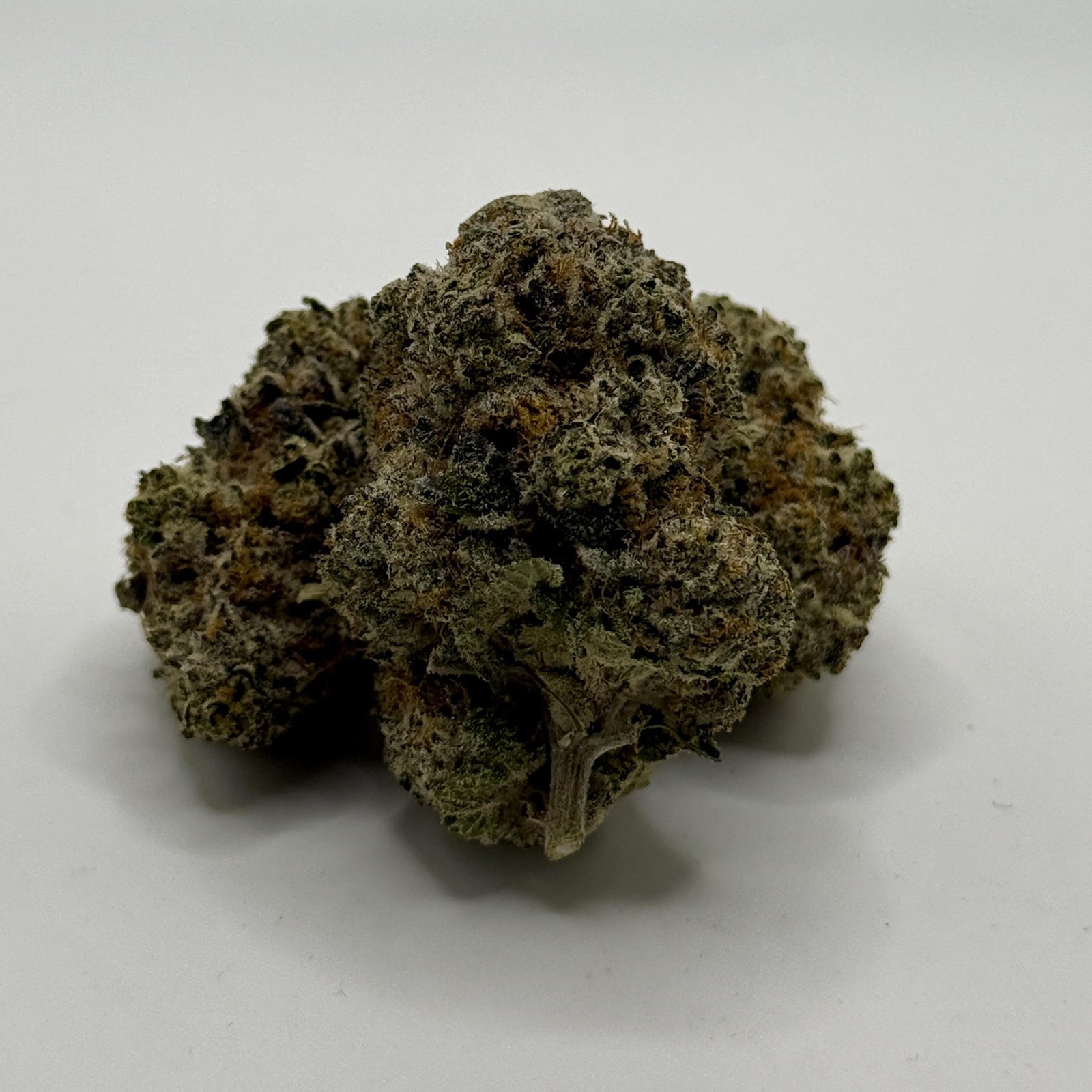 Reefer Kingz's version