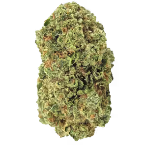 no STeMs's version