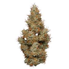 Totem Pole Dispensary's version