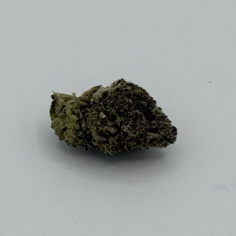 Canna Queens's version