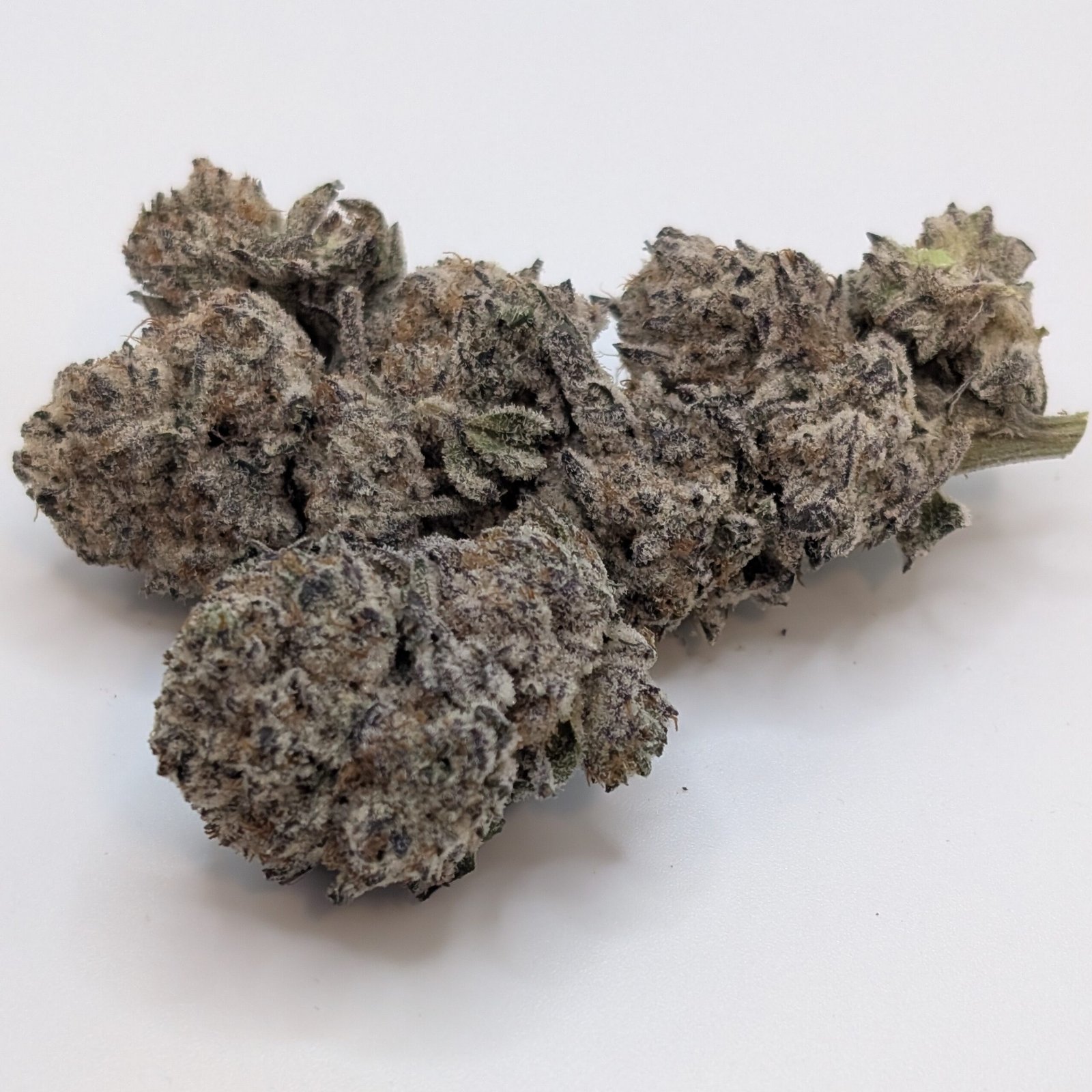 Reefer Kingz's version